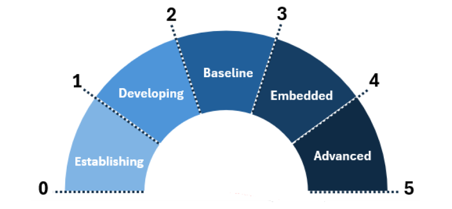 Figure 3.1: Maturity assessment levels