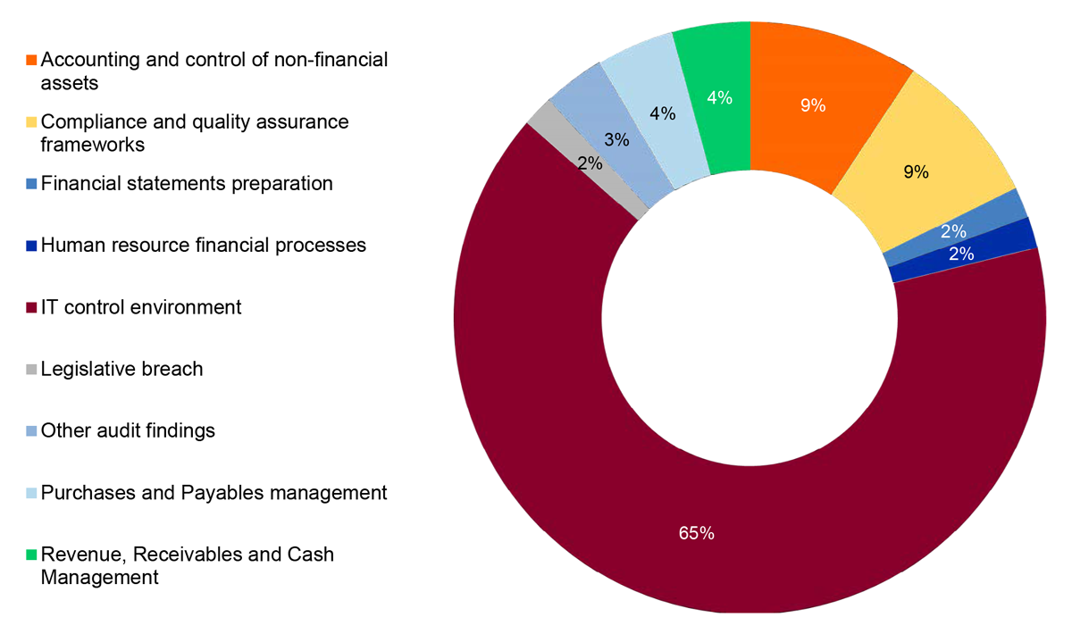 Figure 2.3: Percentage of audit findings by category at the completion of 2024–25 interim audits