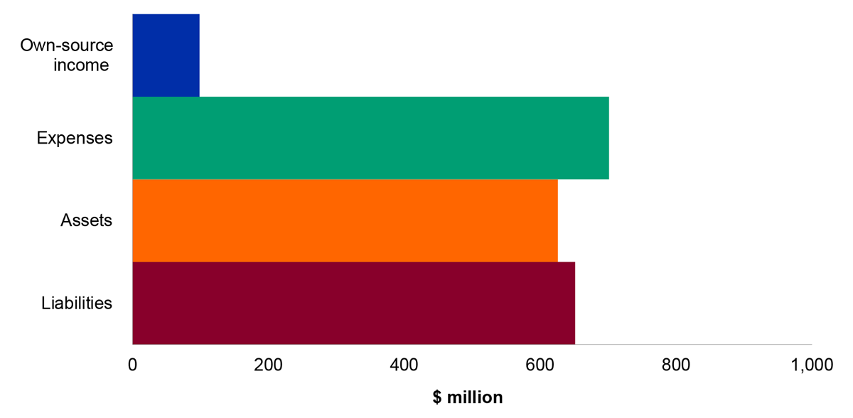 Figure 4.20.1: Key departmental financial balances and areas of financial statements risk