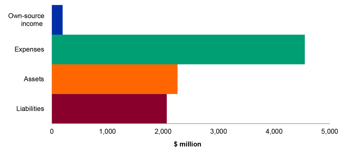 Figure 4.25.1: Key departmental financial balances and areas of financial statements risk