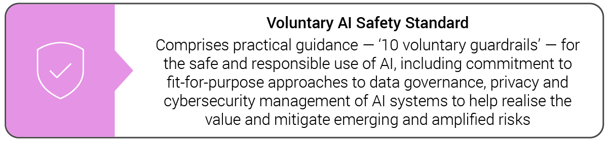Voluntary AI Safety Standard