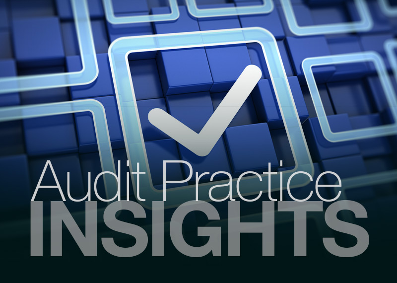Insights: Audit Practice - Auditing Regulatory Activities