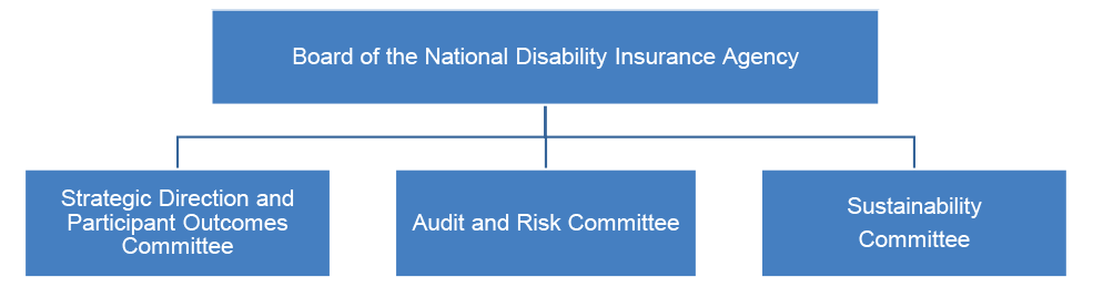 A diagram showing the NDIA Board committee structure. This is in 2 layers. At the top there is the Board of the NDIA. The second level is Strategic Direction and Participant Outcomes committee, the Audit and Risk committee, and the Sustainability committee.