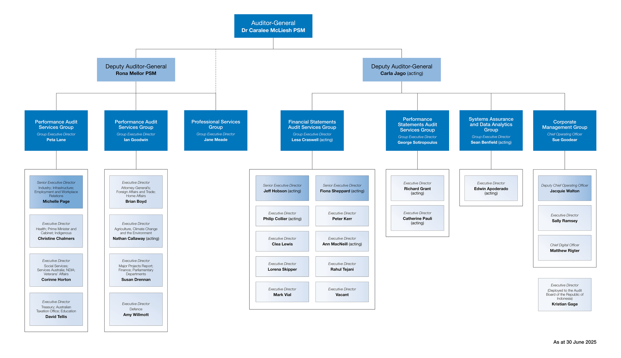 Figure 2.1: Organisational structure, at 30 June 2025
