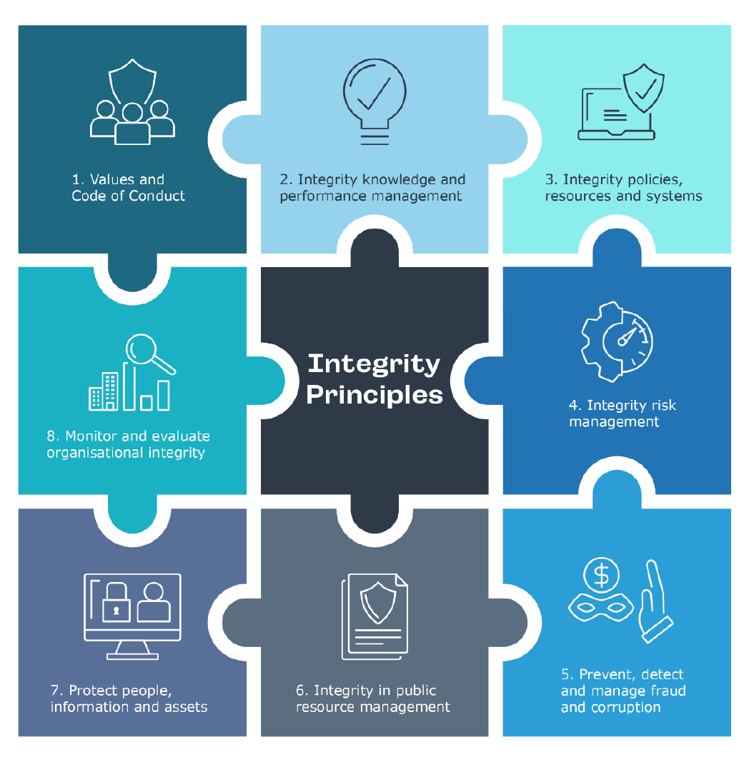 8 Integrity Principles and Maturity Indicators