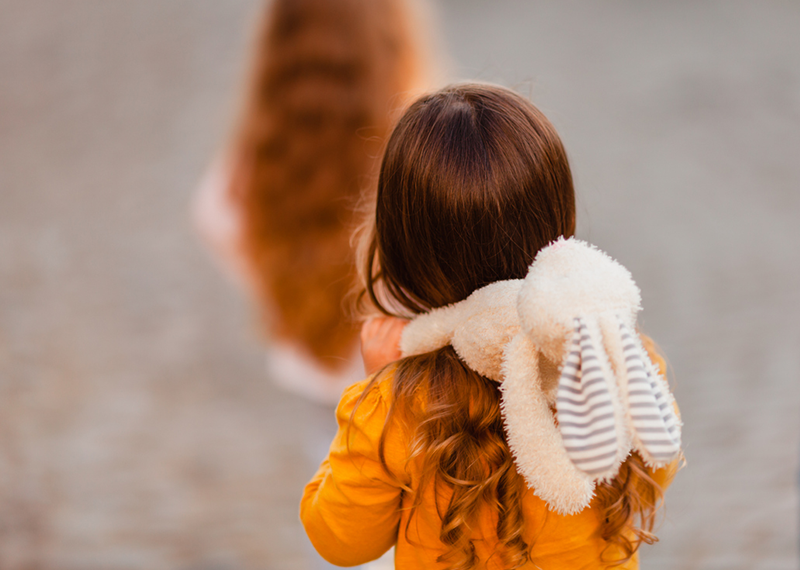 Child support debt recovery enforcement powers