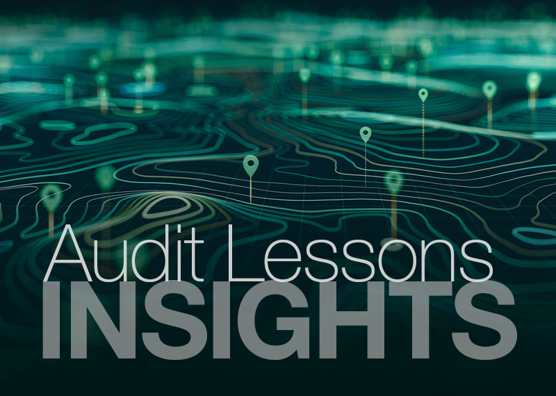 Insights: Audit Lessons — Official Travel