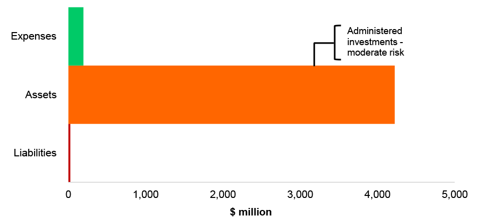 Figure 4.20.2: Key administered financial balances and areas of financial statements risk
