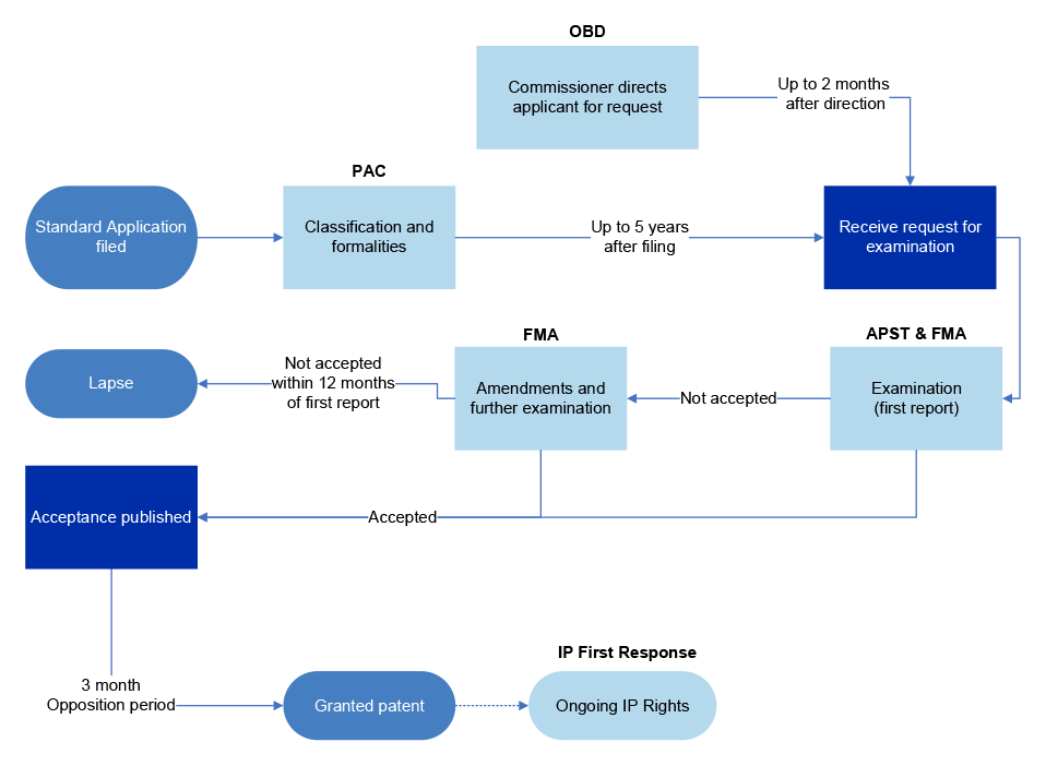 A figure that outlines the steps of the patent application, assessment and granting process, showing that AI tools have been integrated into multiple steps of the process.