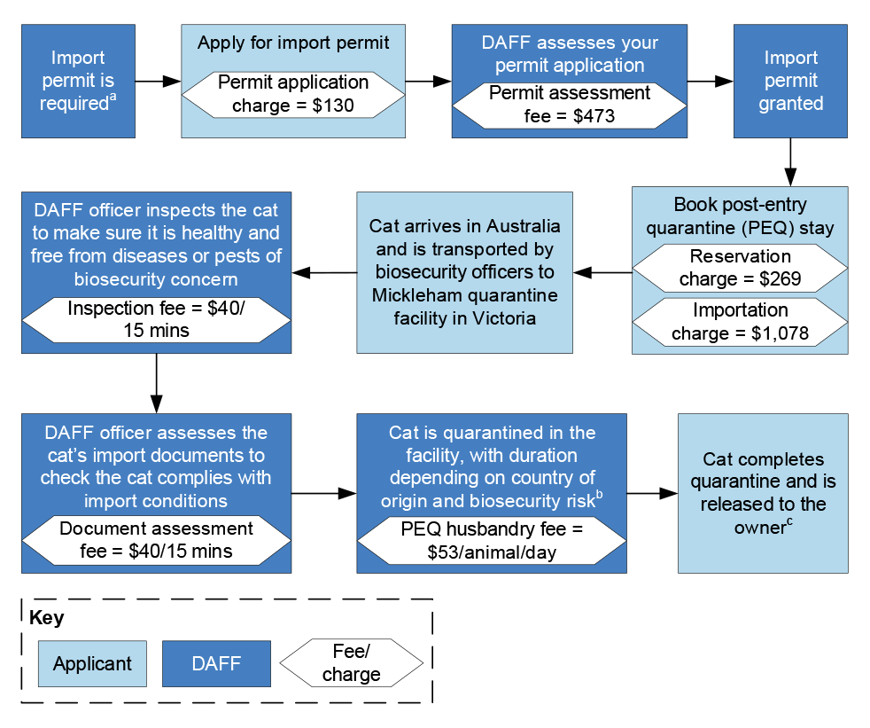 A flow chart that shows the steps required to import a cat into Australia, from application for an import permit to the cat completing post-entry quarantine. The chart shows the fee or charge applicable at each stage.