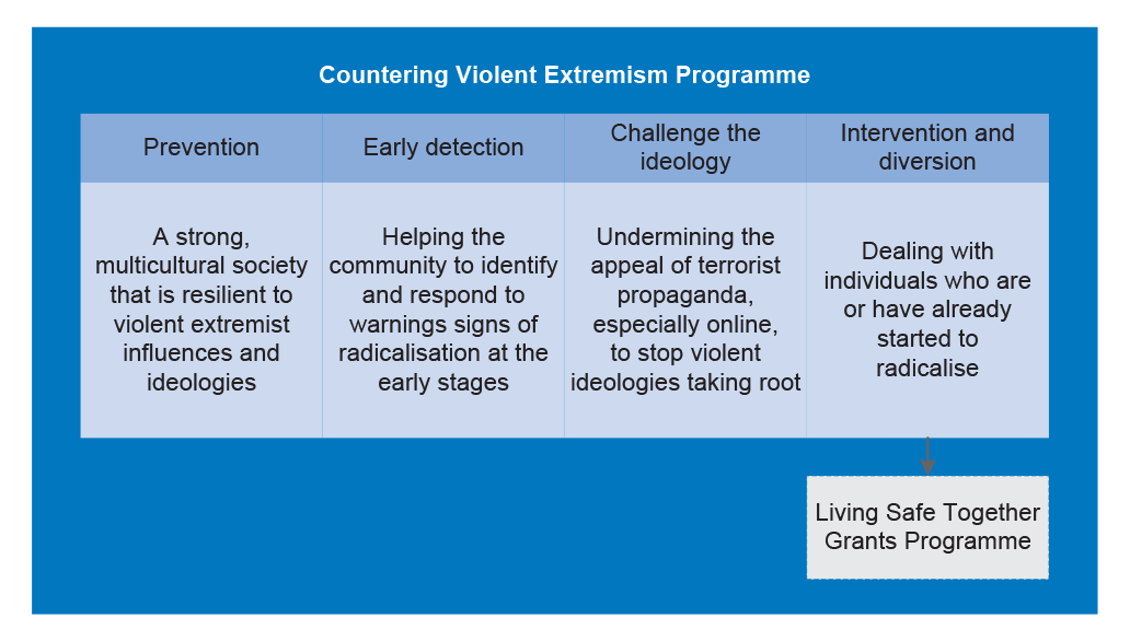 The streams of work within the CVE Programme