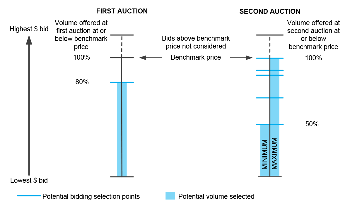 Purchasing parameters for the first and second auctions Purchasing parameters for the first and second auctions
