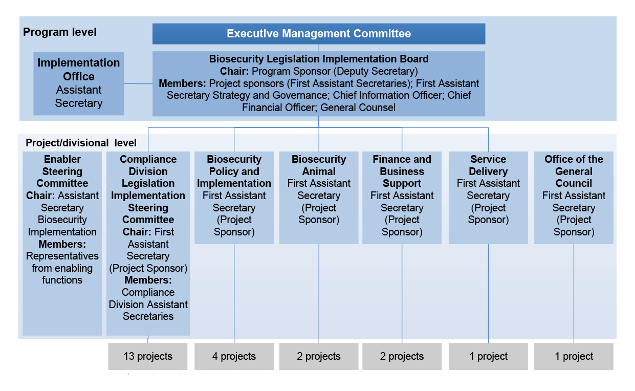 Implementation program governance structure Implementation program governance structure