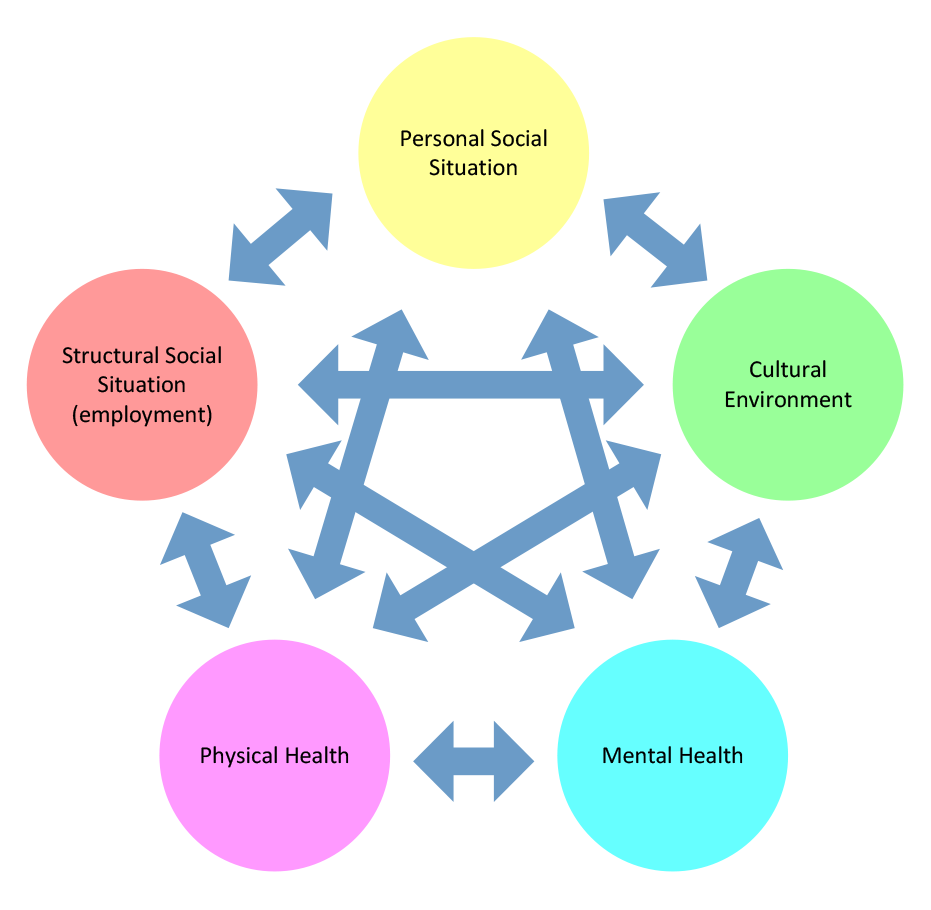 A diagram with five factors identified as interlinked and affecting wellbeing and work performance. These are an employee’s personal social situation, structural social situation (employment), their cultural environment, their physical health, and their m