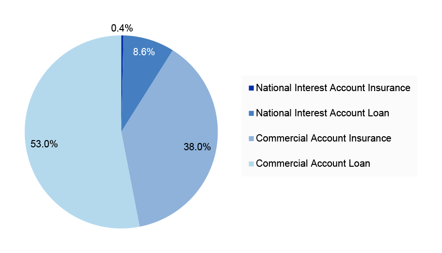 A pie chart that shows Efic’s portfolio of loans vs other financial products. Commercial Account loans comprise 53% of total products. A pie chart that shows Efic’s portfolio of loans vs other financial products. Commercial Account loans comprise 53% of total products.