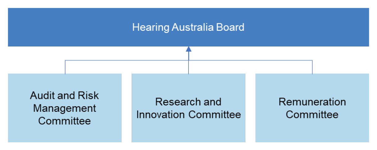 A figure that presents the Hearing Australia board’s governance structure. It shows the board’s direct committee reports of the audit and risk management committee, research and innovation committee and remuneration committee. A figure that presents the Hearing Australia board’s governance structure. It shows the board’s direct committee reports of the audit and risk management committee, research and innovation committee and remuneration committee.