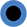 A full harvey ball surrounded by a blue circle