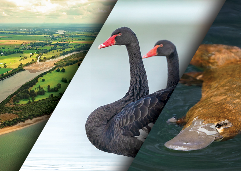 Delivery of the Urban Rivers and Catchments