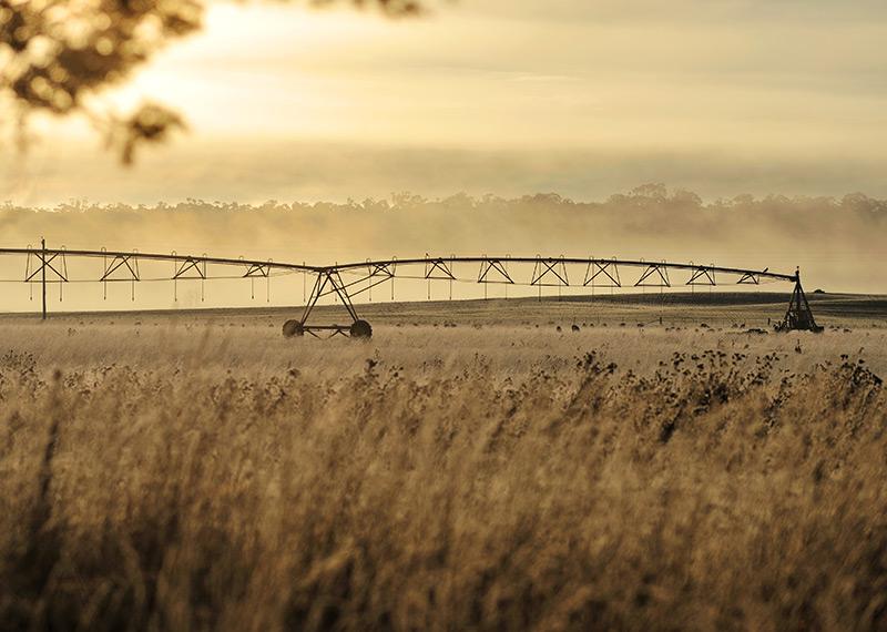 A paddock being watered by machinery