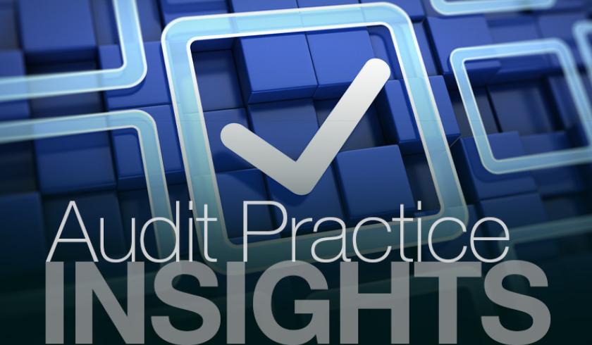 Insights: Audit Practice - Auditing Regulatory Activities