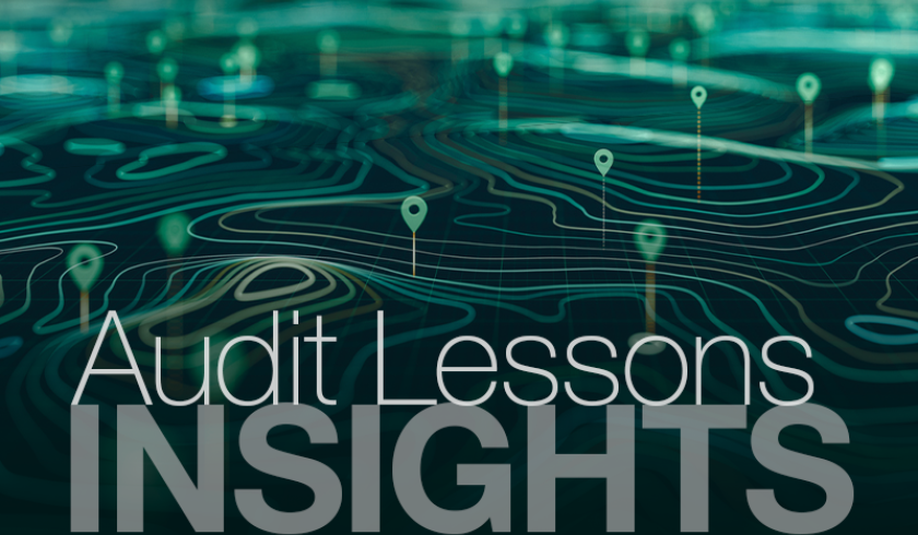 Insights: Audit Lessons — Official Travel
